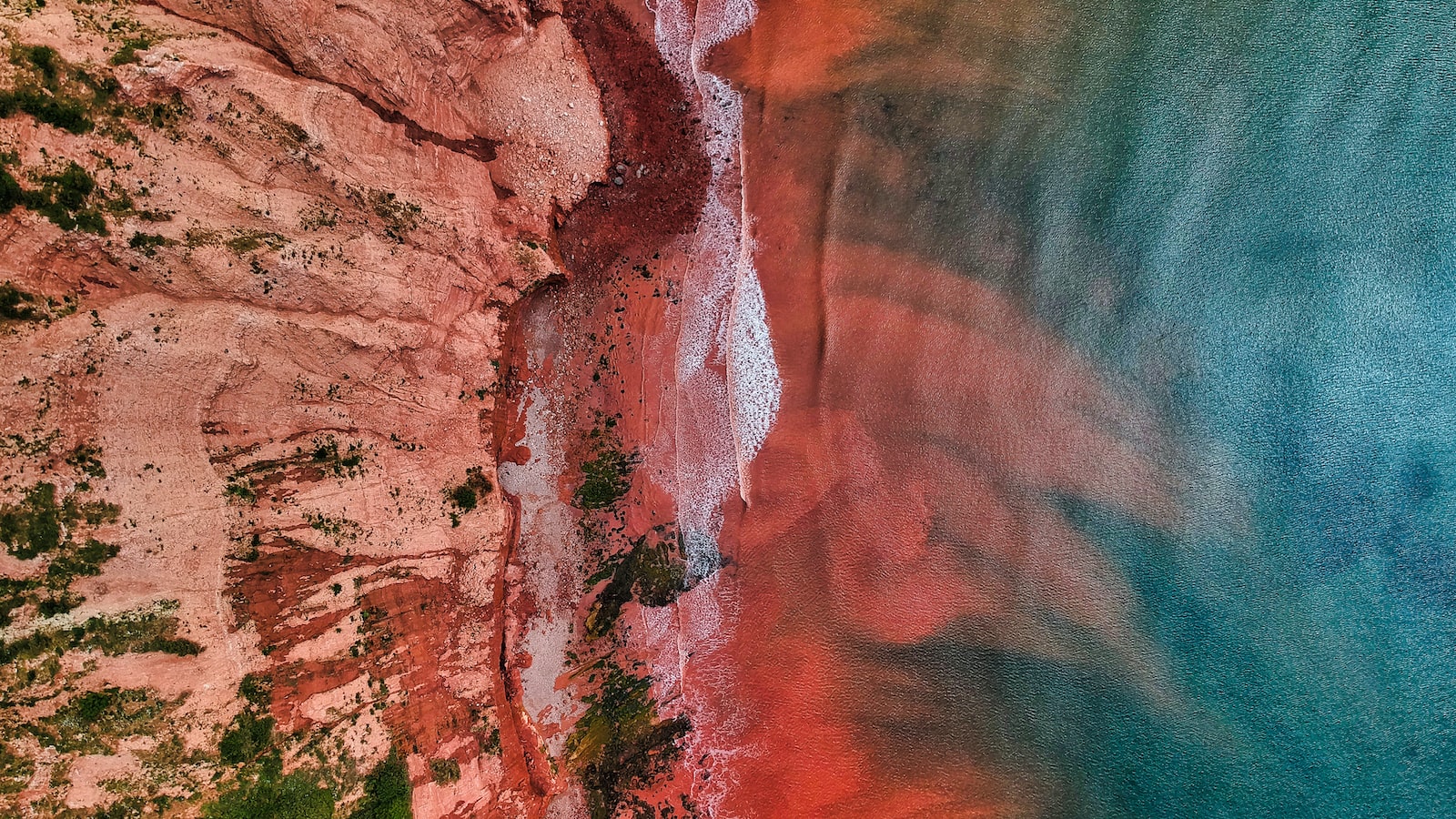 《存款藏底：資金管理策略與技巧》