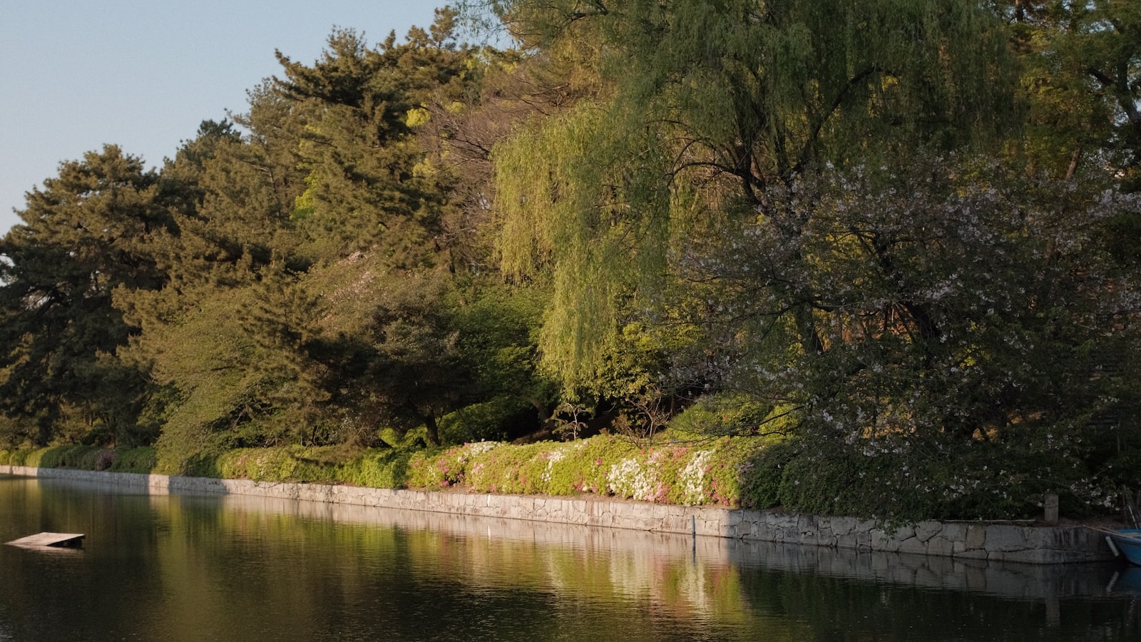 《有效借款計劃之道》