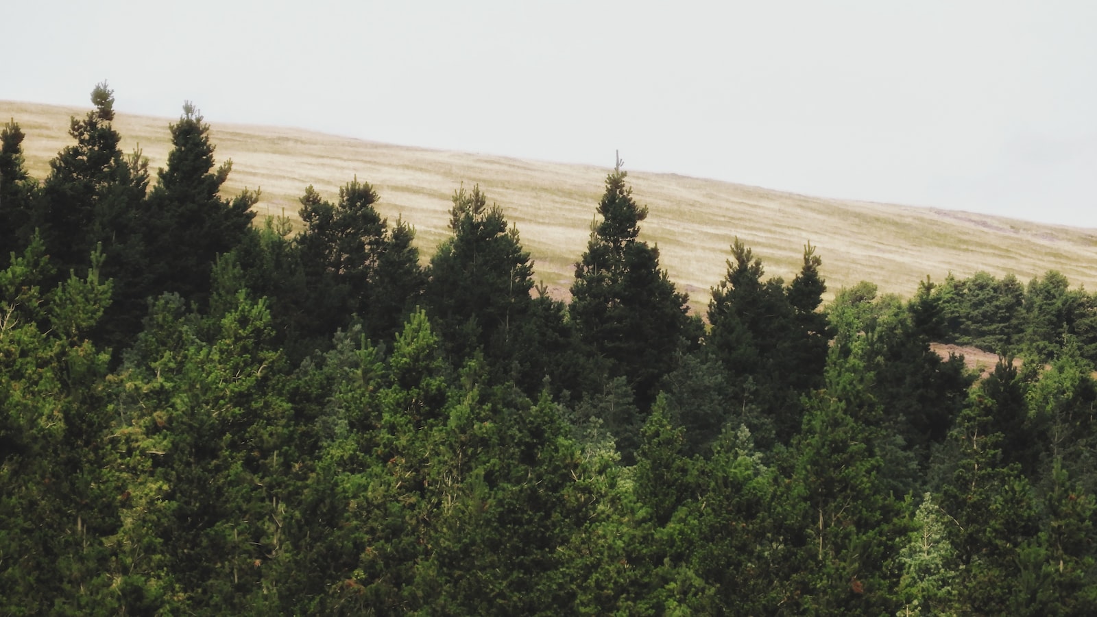 《現代技術應用於財務管理：工具分析》