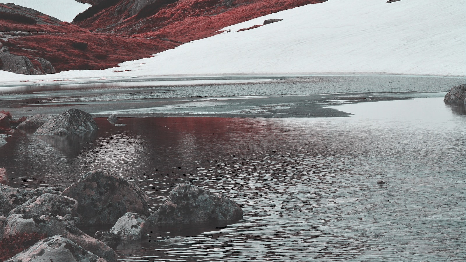 《重建生命：如何破產後重新開始》