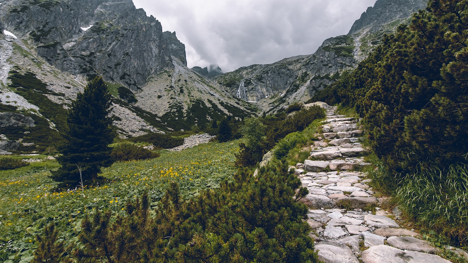 《降低風險與獲得收益之基金投資指南》