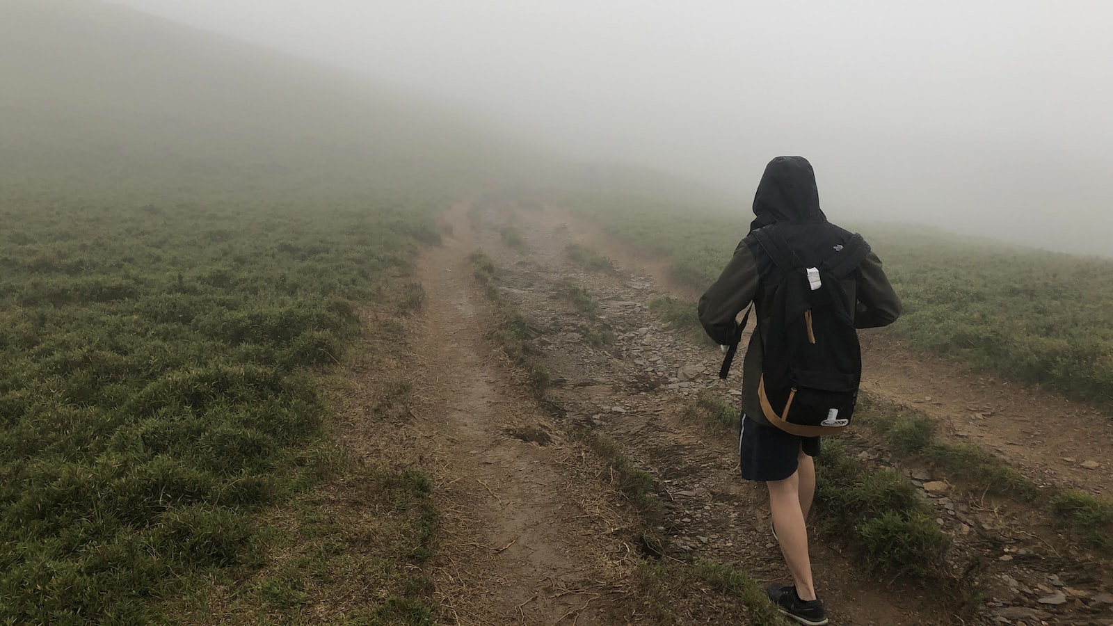 「基金投資：穩健開展，保證收益」