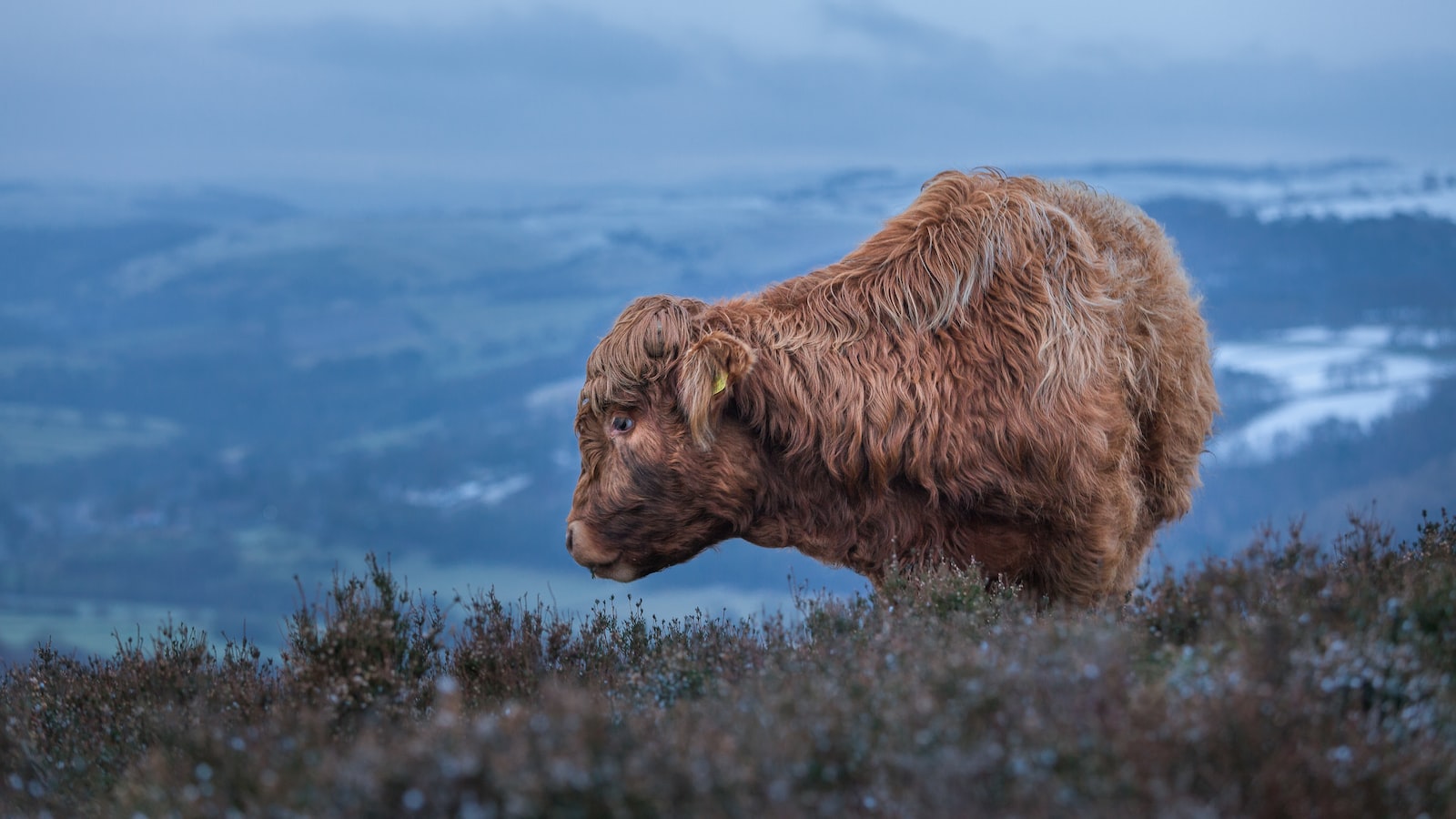 「探討傳統與創新儲蓄方式之優劣分析」
