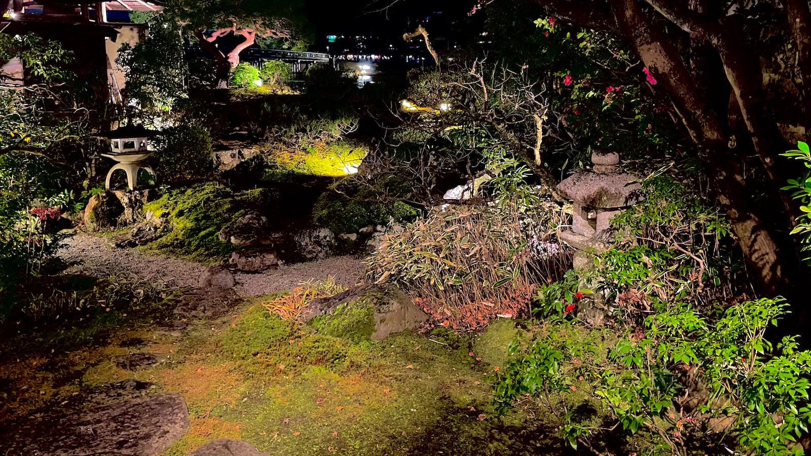 「理財新手」新鮮就食：投資資產配置秘訣