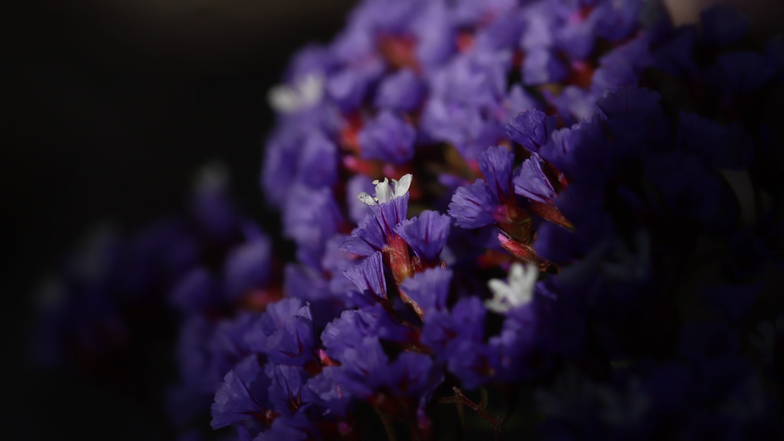 「突破投資迷思，找出屬於自己的投資產品」