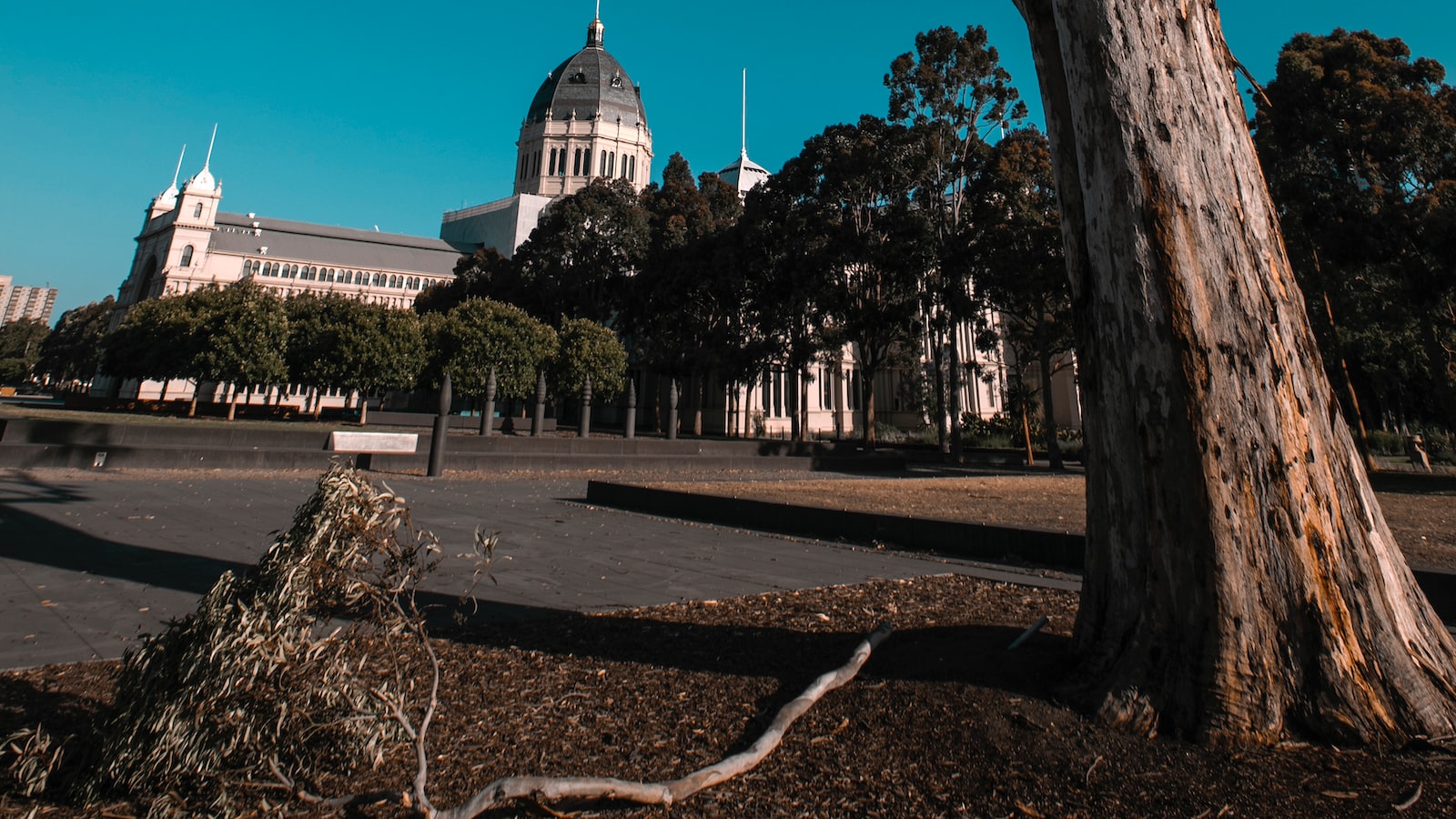 「精 要 儲蓄，享儲利便捷」