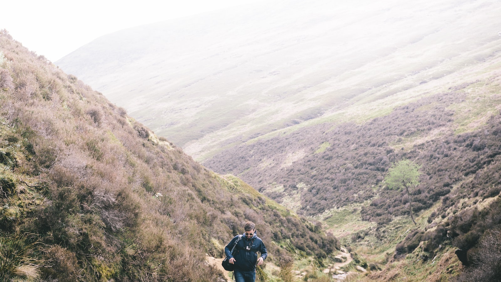 「面對債務：建立心理強度」
