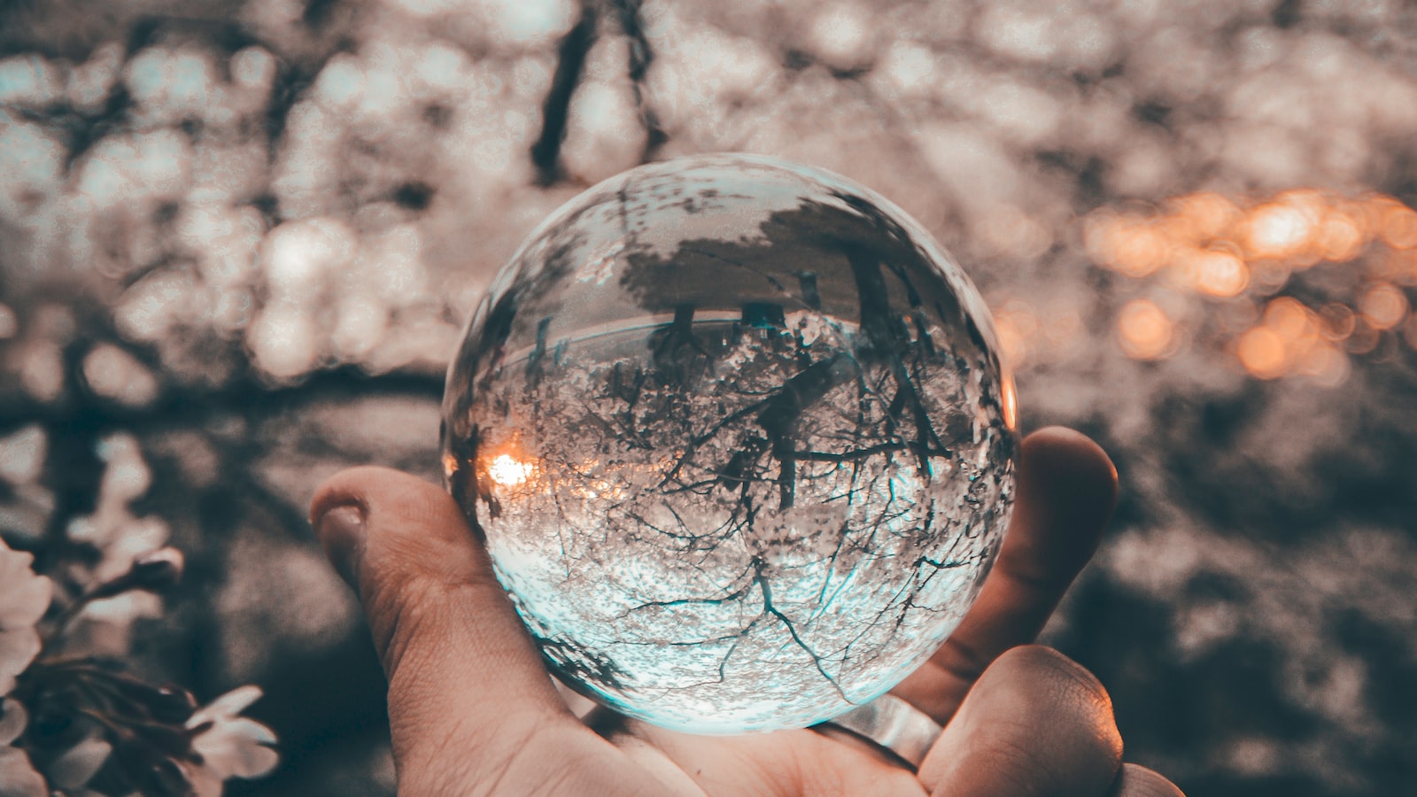 『藉由財務規劃從容管理自身財務狀況』