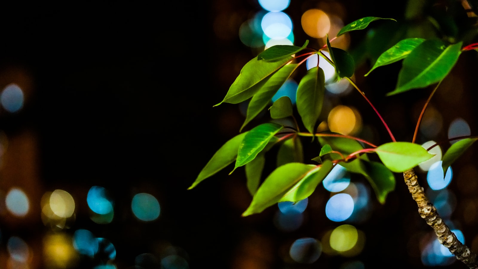 『讓你的儲蓄值最大！』