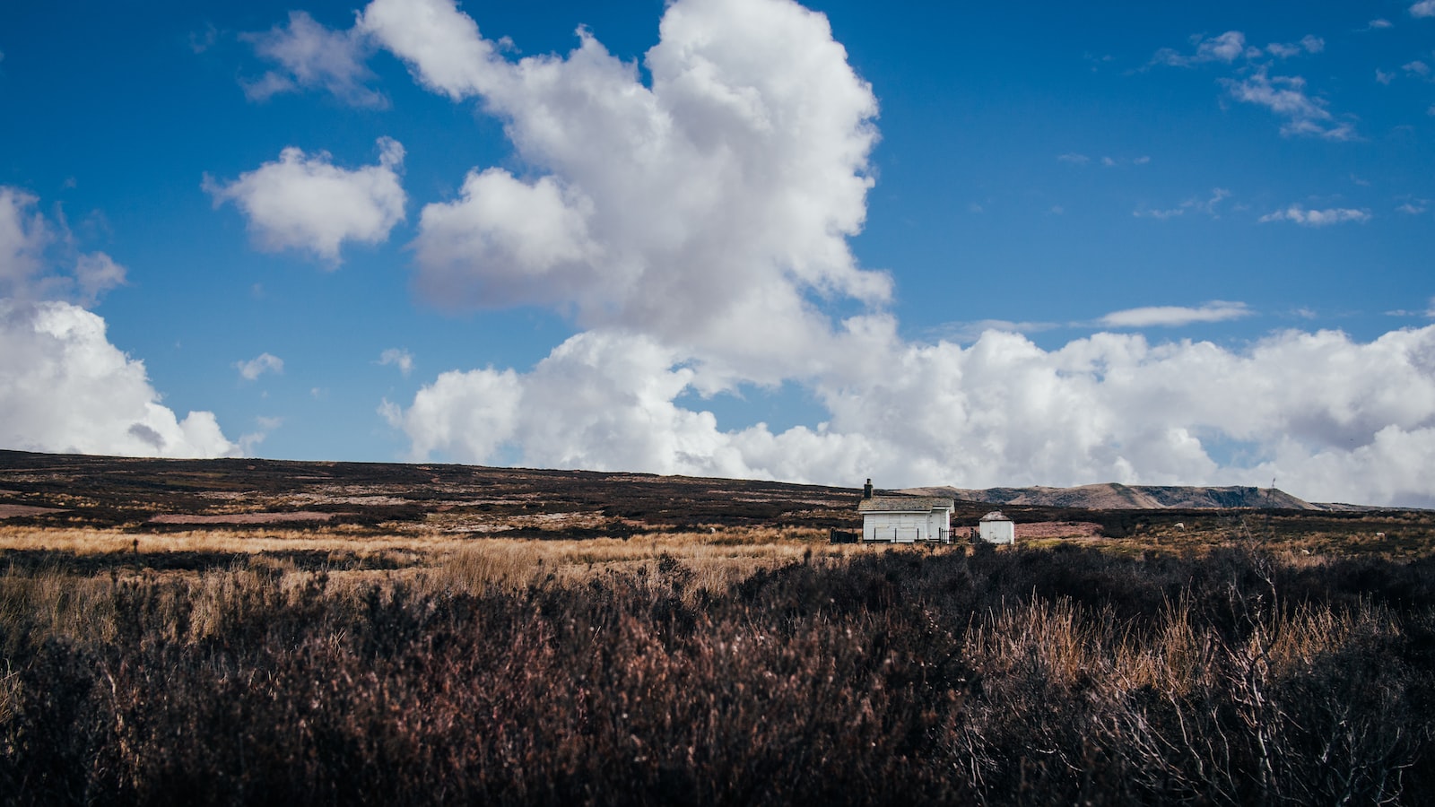 債務管理：挑選適當解決方案