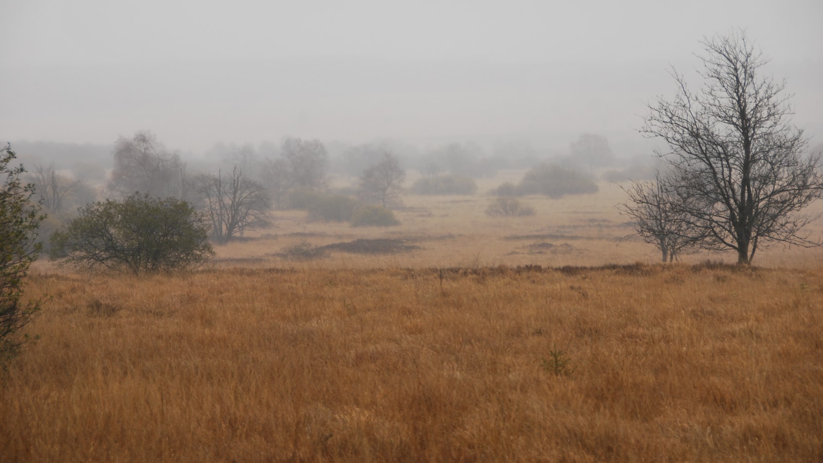 對付債務問題：改善心理建設的方式