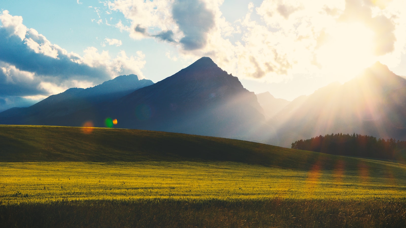 步步導向財務自由：達成理想的正確步驟