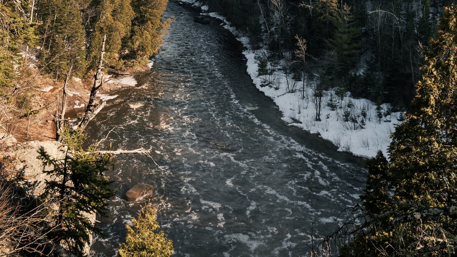 藉由資產配置 實現財務目標
