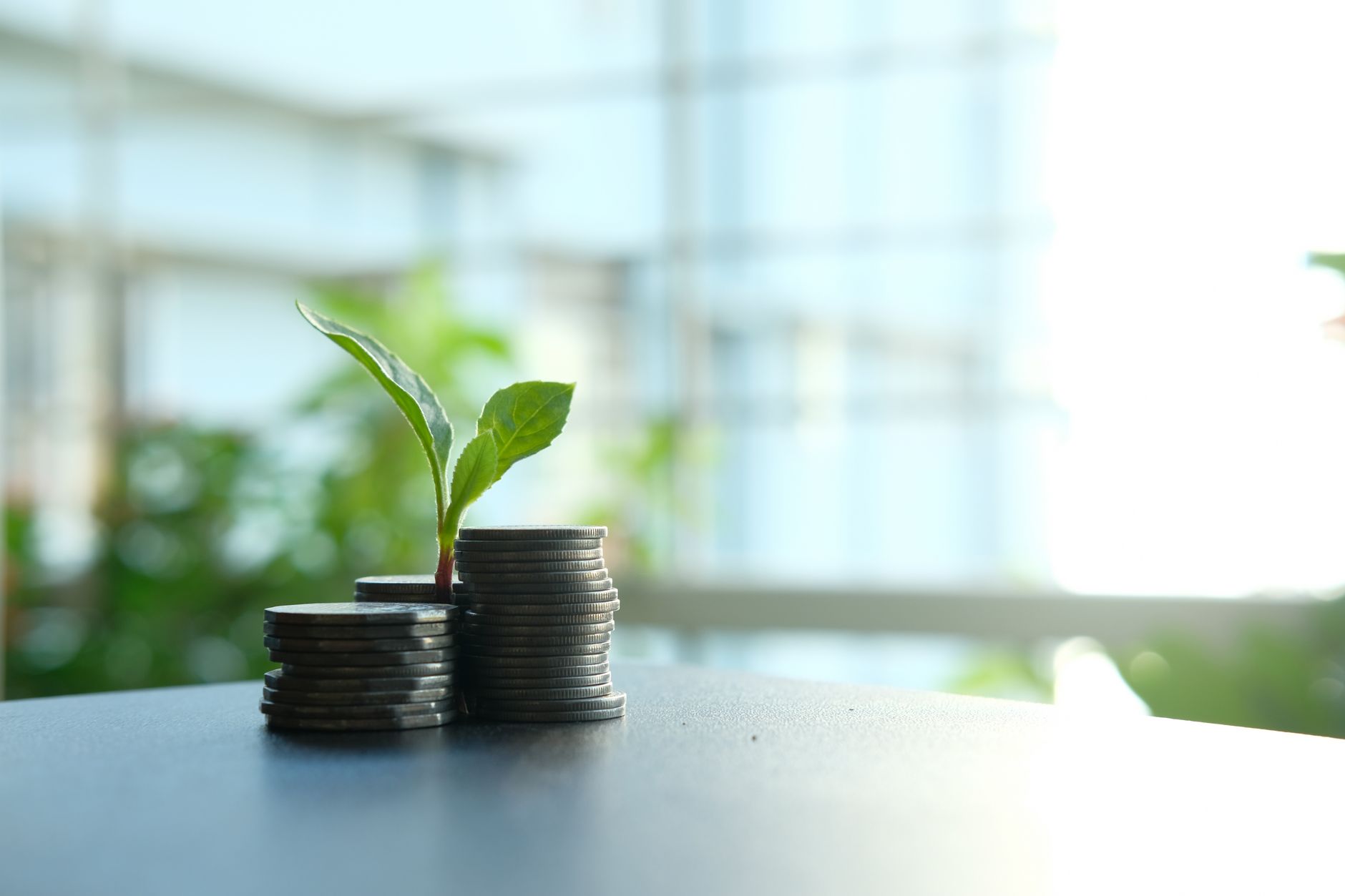 香港ESG投資基金新手入門：2026年完整攻略